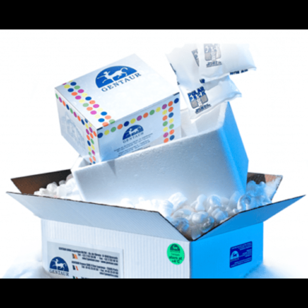 Hieff NGS® Ultima Dual-mode RNA Library Prep Kit-96T